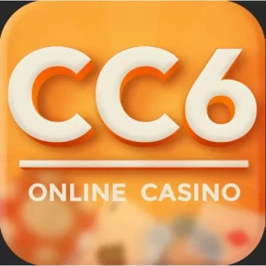 v8cc6 Register